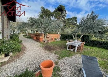 Foto 16 - Rustico Camaiore - foto 16