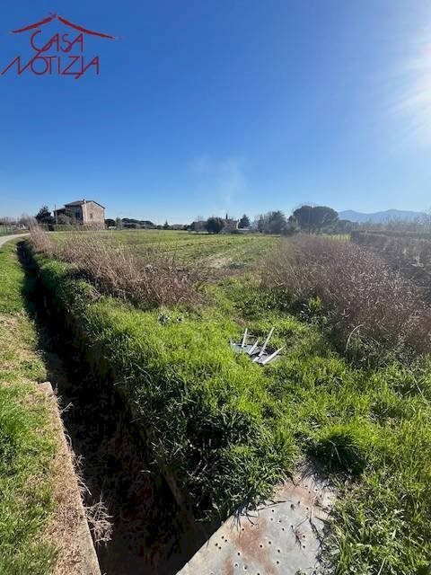 Foto 2 - Agricultural land Via Del Fanuccio, Lucca - photo 2