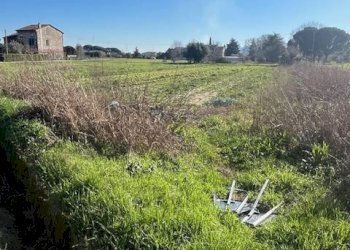 Foto 1 - Agricultural land Via Del Fanuccio, Lucca - photo 1