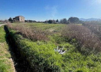 Foto 2 - Agricultural land Via Del Fanuccio, Lucca - photo 2