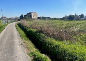 Foto 3 - Agricultural land Via Del Fanuccio, Lucca - photo 3