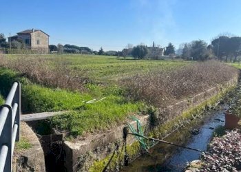 Foto 4 - Agricultural land Via Del Fanuccio, Lucca - photo 4