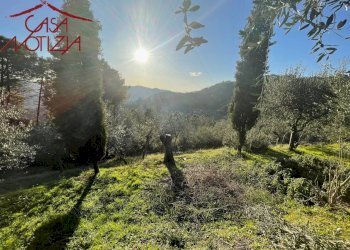 Foto 22 - Rustico VIA DI MEZZO
 
7, Camaiore - foto 22