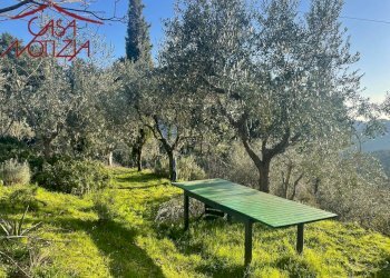 Foto 25 - Rustico VIA DI MEZZO
 
7, Camaiore - foto 25