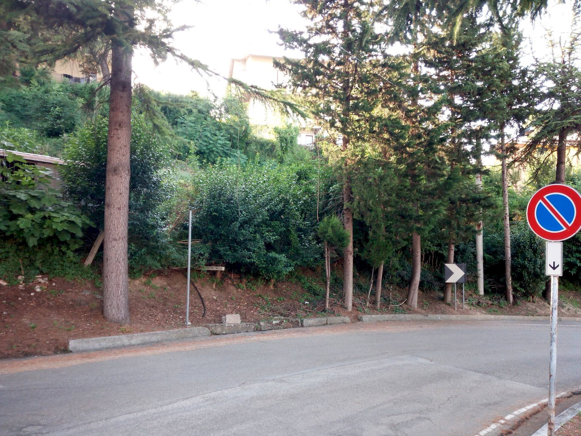 Foto 2 - Terreno edificabile traversa di via cesare forcella, Torricella Sicura - foto 2