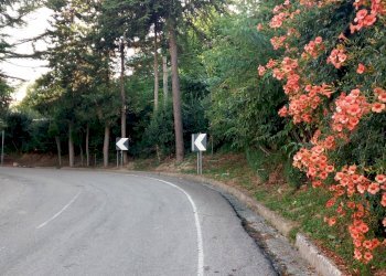 Foto 4 - Building land traversa di via cesare forcella, Torricella Sicura - photo 4