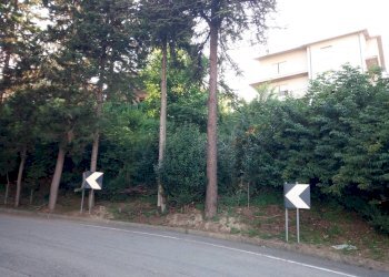 Foto 5 - Building land traversa di via cesare forcella, Torricella Sicura - photo 5