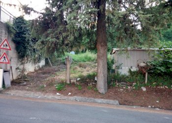 Foto 7 - Building land traversa di via cesare forcella, Torricella Sicura - photo 7