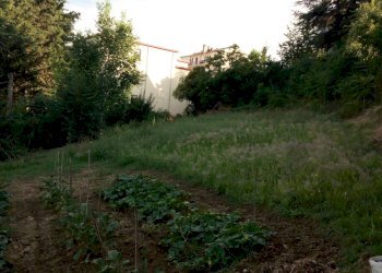 Foto 9 - Building land traversa di via cesare forcella, Torricella Sicura - photo 9