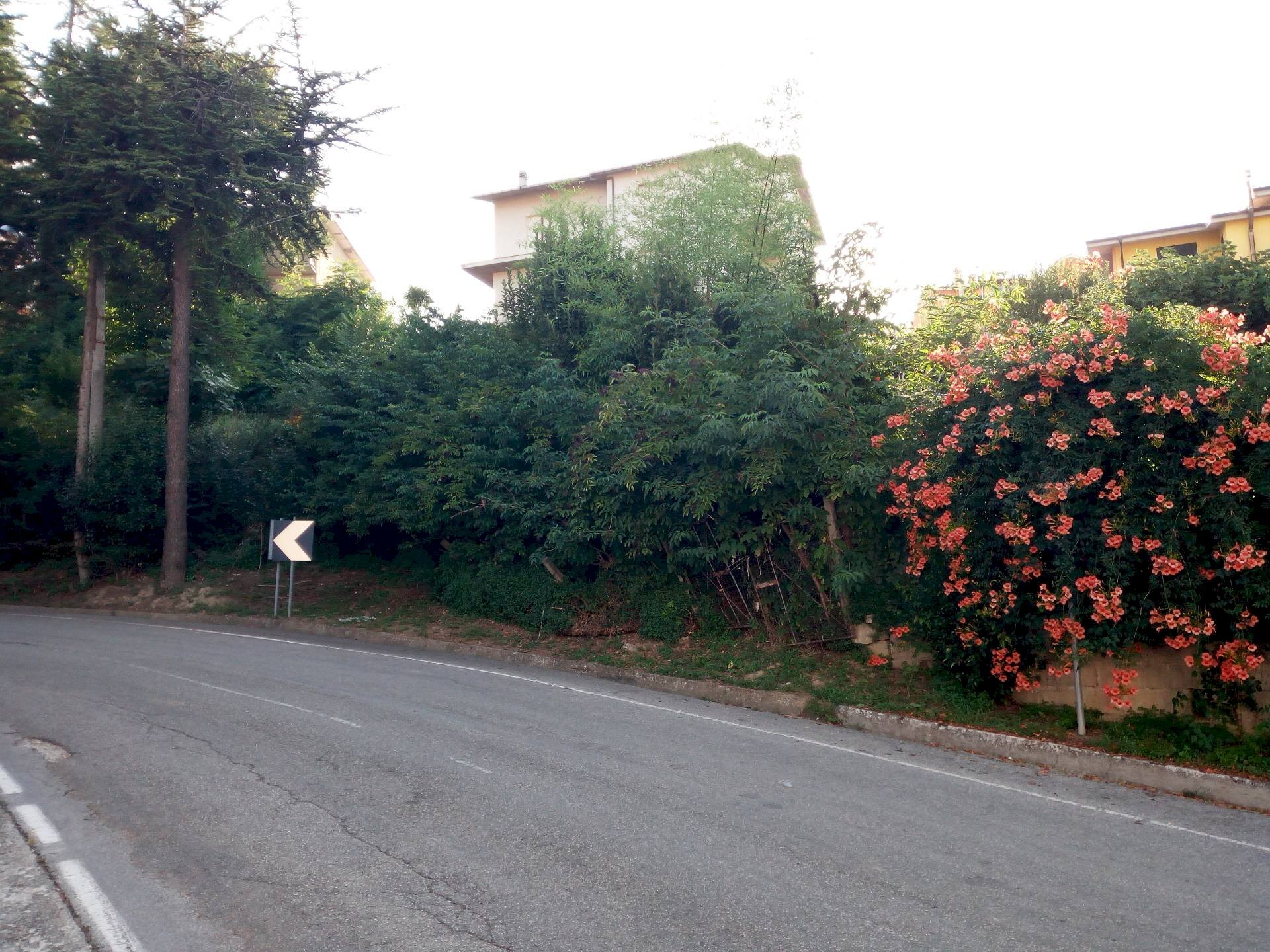 Foto 3 - Building land traversa di via cesare forcella, Torricella Sicura - photo 3