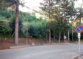 Foto 2 - Building land traversa di via cesare forcella, Torricella Sicura - photo 2