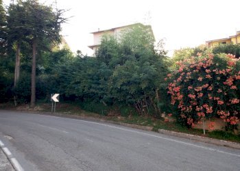 Foto 3 - Building land traversa di via cesare forcella, Torricella Sicura - photo 3