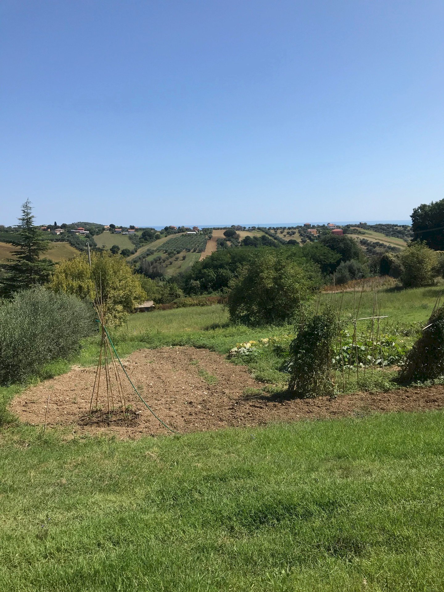 Foto 2 - Building land piazza aurelio saliceti, Mosciano Sant'Angelo - photo 2