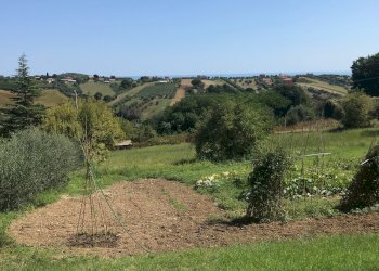 Foto 2 - Building land piazza aurelio saliceti, Mosciano Sant'Angelo - photo 2