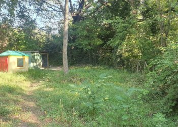 Foto 7 - Box Via Cavalieri di Vittorio Veneto, Teramo - foto 7