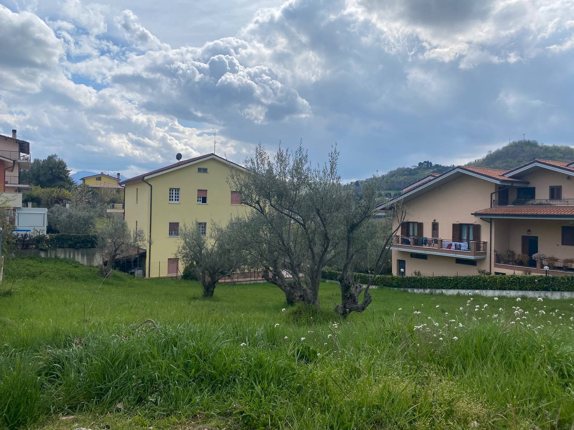 Foto 3 - Terreno edificabile via p. profico, Torricella Sicura - foto 3