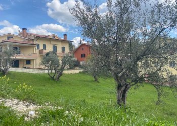 Foto 1 - Terreno edificabile via p. profico, Torricella Sicura - foto 1