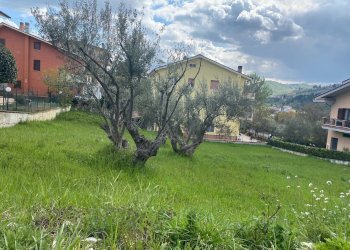 Foto 2 - Terreno edificabile via p. profico, Torricella Sicura - foto 2