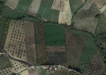 Foto 1 - Agricultural land Via Giardino Grasciano, Notaresco - photo 1