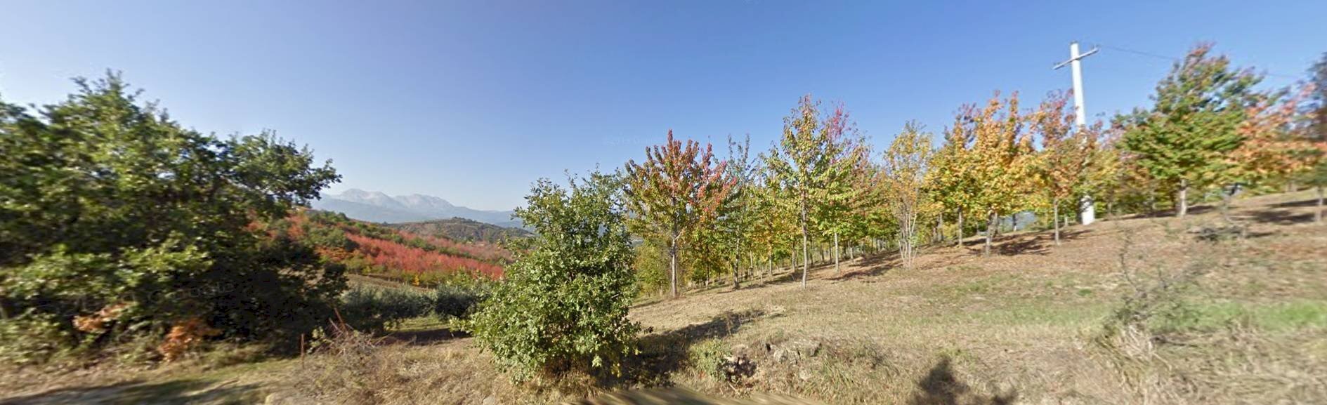 Foto 3 - Terreno agricolo sparazzano, Teramo - foto 3