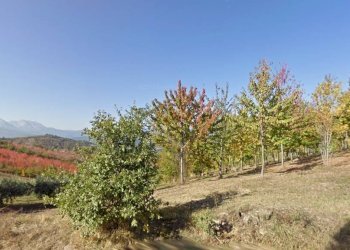 Foto 3 - Terreno agricolo sparazzano, Teramo - foto 3