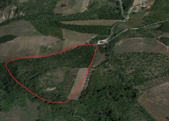 Foto 1 - Terreno agricolo sparazzano, Teramo - foto 1