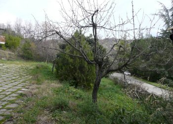 Foto 4 - Casa indipendente via Cavalieri di Vittorio Veneto, Teramo - foto 4