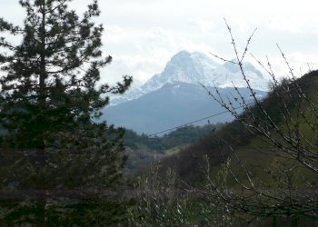 Foto 5 - Casa indipendente via Cavalieri di Vittorio Veneto, Teramo - foto 5