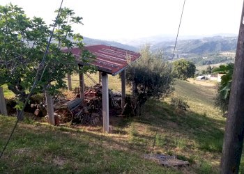 Foto 2 - Rustico Basciano - foto 2