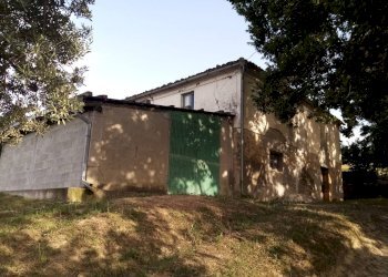 Foto 4 - Rustico Basciano - foto 4