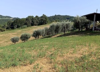 Foto 7 - Rustico Basciano - foto 7