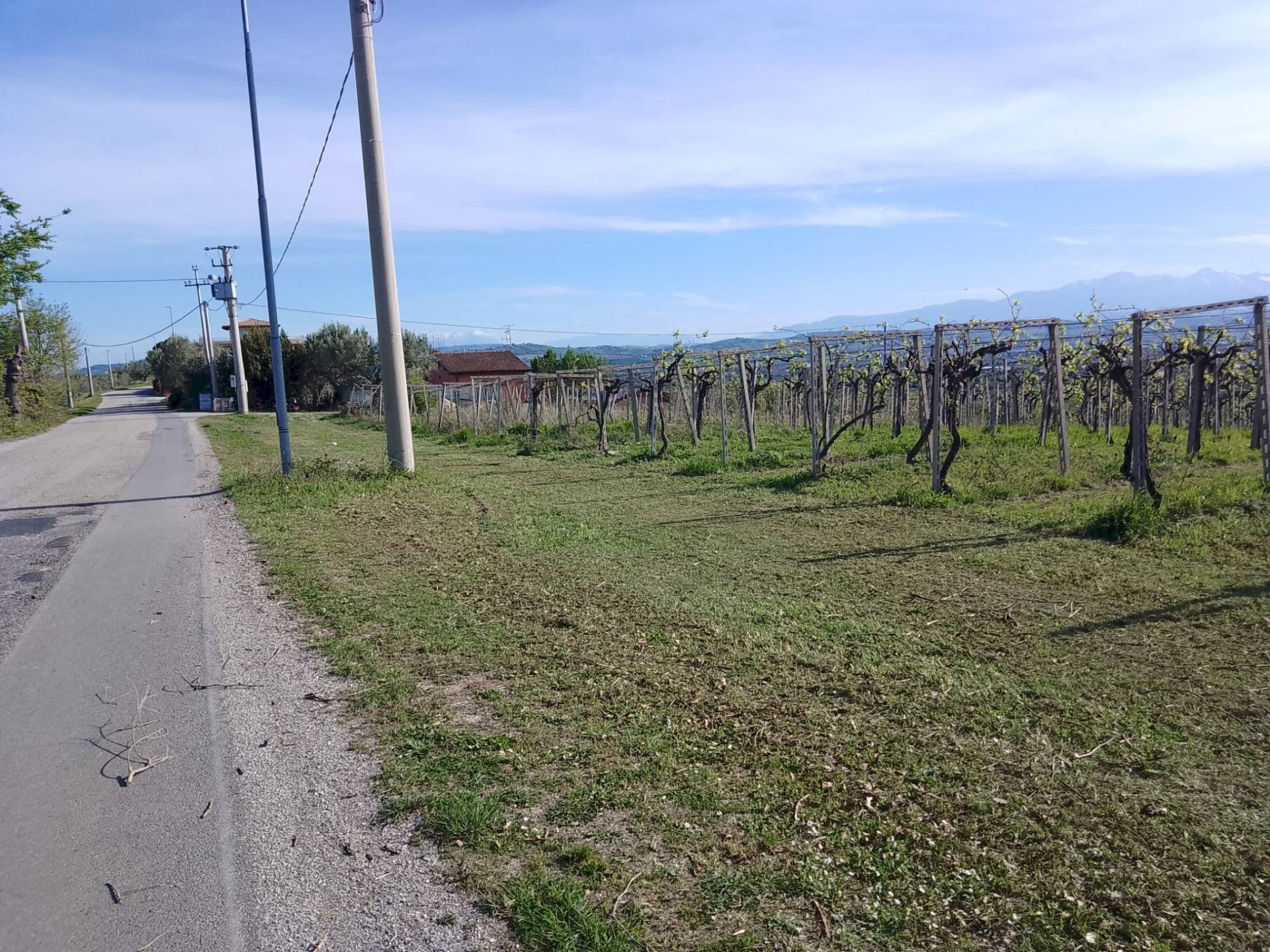 Foto 2 - Terreno agricolo via colle d'oro, Giulianova - foto 2