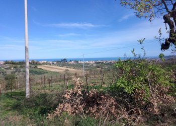 Foto 4 - Terreno agricolo via colle d'oro, Giulianova - foto 4