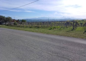 Foto 6 - Terreno agricolo via colle d'oro, Giulianova - foto 6