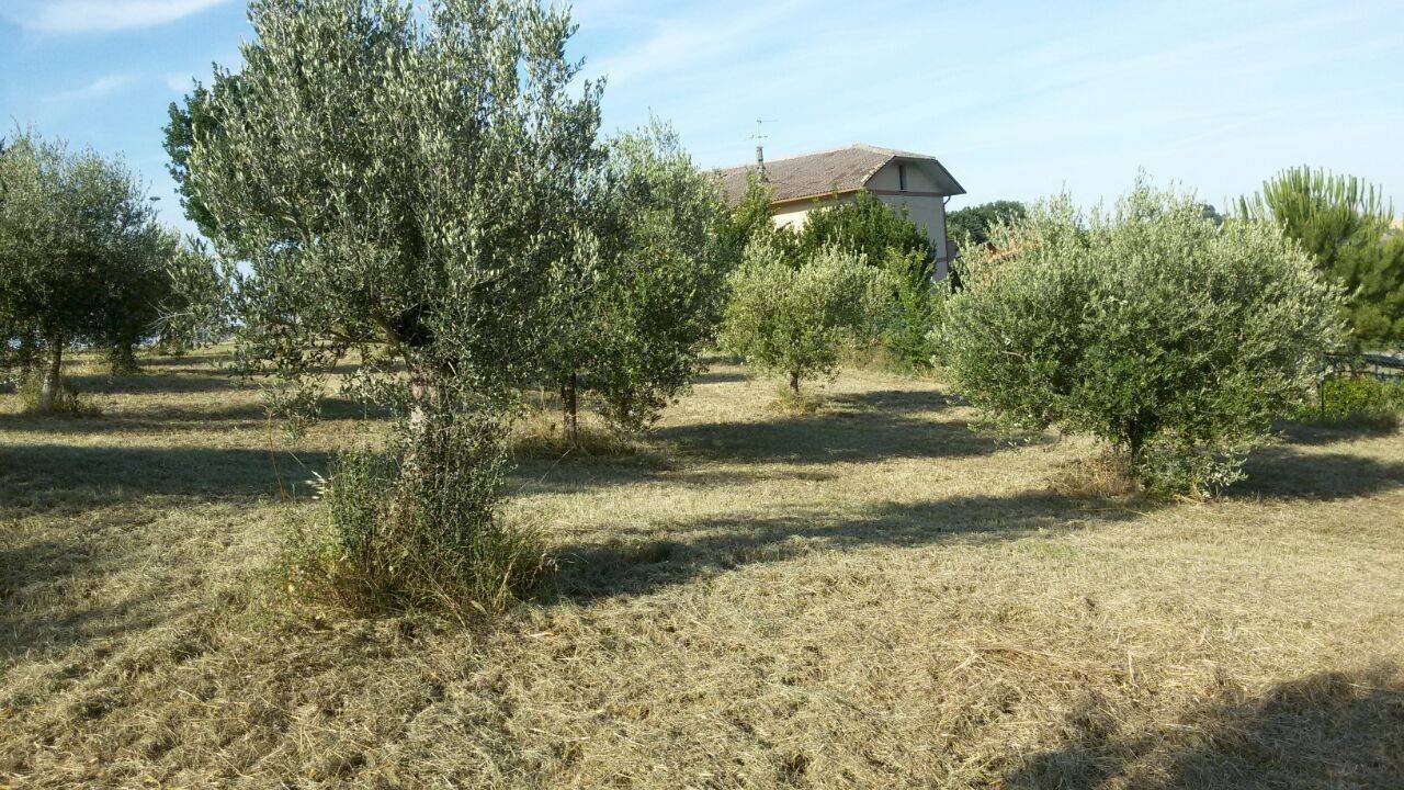 Foto 3 - Rustico via della fonte
 
13, Campli - foto 3