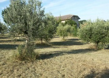 Foto 3 - Rustico via della fonte
 
13, Campli - foto 3