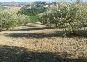 Foto 4 - Rustico via della fonte
 
13, Campli - foto 4