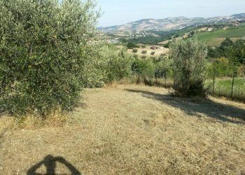 Foto 6 - Rustico via della fonte
 
13, Campli - foto 6