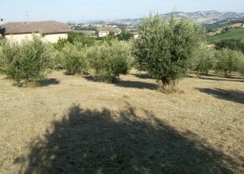 Foto 7 - Rustico via della fonte
 
13, Campli - foto 7