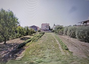 Foto 2 - Terreno edificabile Mosciano Sant'Angelo - foto 2