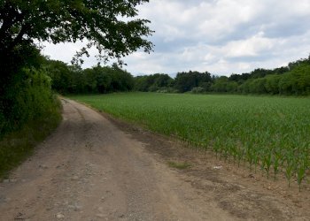 Foto 1 - Terreno agricolo via della vittoria, Aicurzio - foto 1