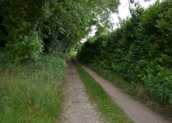 Foto 6 - Terreno agricolo via della vittoria, Aicurzio - foto 6