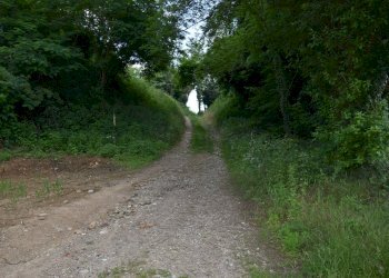 Foto 7 - Terreno agricolo via della vittoria, Aicurzio - foto 7