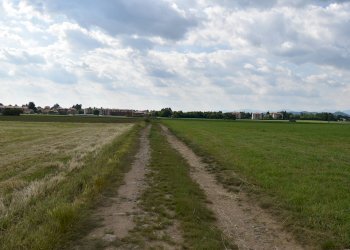 Foto 10 - Terreno agricolo via della vittoria, Aicurzio - foto 10