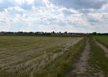 Foto 11 - Terreno agricolo via della vittoria, Aicurzio - foto 11