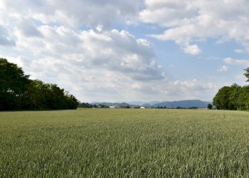 Foto 18 - Terreno agricolo via della vittoria, Aicurzio - foto 18