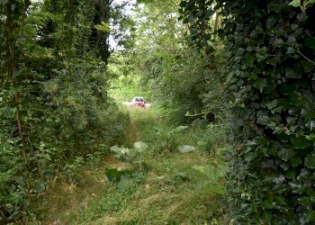 Foto 20 - Terreno agricolo via della vittoria, Aicurzio - foto 20