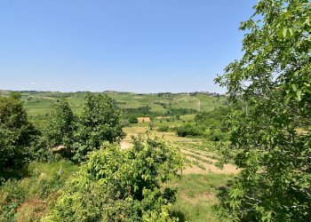 Foto 7 - Azienda agricola Roma
 
8, Rovescala - foto 7