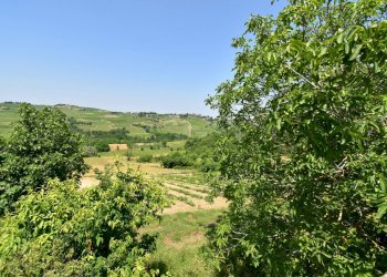 Foto 9 - Azienda agricola Roma
 
8, Rovescala - foto 9