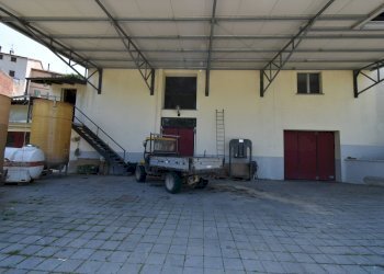 Foto 16 - Azienda agricola Roma
 
8, Rovescala - foto 16